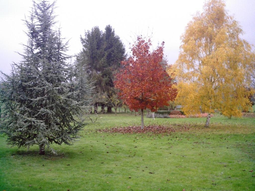 Au Jardin Fleuri Villa Vauxaillon Dış mekan fotoğraf