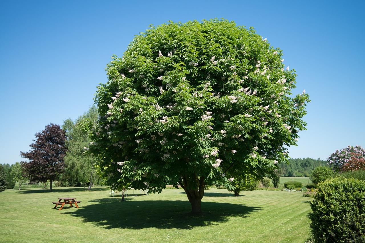 Au Jardin Fleuri Villa Vauxaillon Dış mekan fotoğraf
